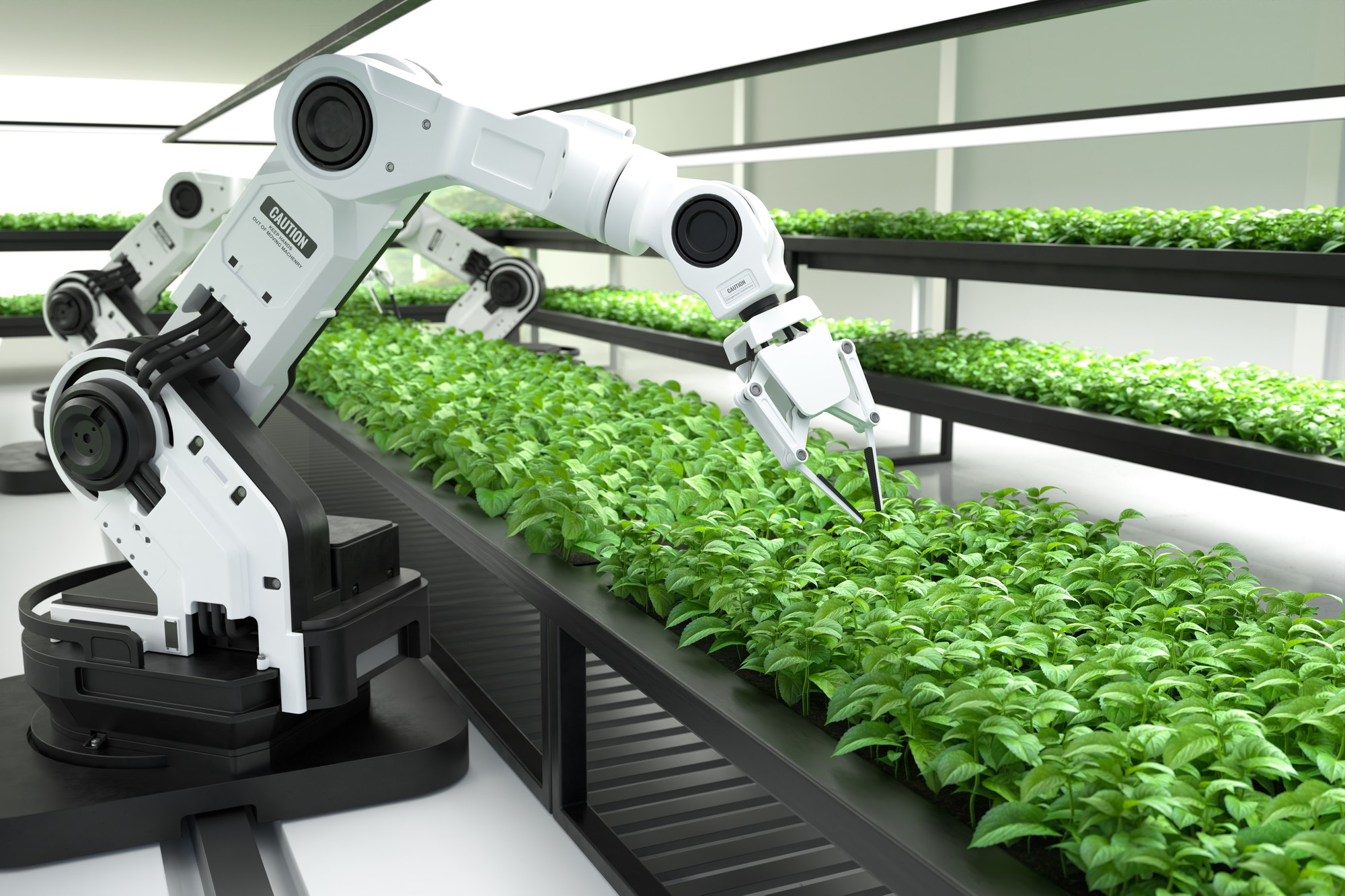 El Futuro de la Inteligencia Artificial en la Industria de la Alimentación